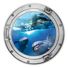 Glasbild 3d Optik Dolphins Underwater Rund Glasbild 3d Optik Dolphins Underwater Runddieses Leuchtend Blaue Motiv Mit Den Zwei Fre Glasbilder Glas Bilder