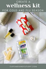 Wellness Kit For On The Go Families With Purell Wellness Kit Vitamin C Tablets Divorce And Kids