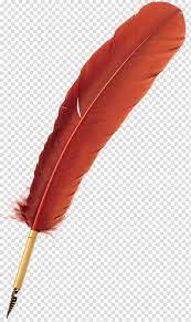 Bird Feather Quill Pen Feather Transparent Background Png Clipart Feather Quill Pen Fountain Pen Drawing White Feather Pen