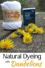 Natural Dye From Plants Dandelion Flowers Fiberartsy Com Natural Dyes Natural Dye Fabric How To Dye Fabric
