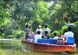 We did not find results for: Mekarsari Taman Buah The Largest Fruit Garden In The World