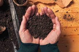 Maybe you would like to learn more about one of these? Top Soil Vs Compost What S The Difference What S Best To Use Grower Today