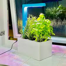 Check spelling or type a new query. Download Stl File Smart Self Watering Pot With Grow Light 6 Pots 3d Printable Model Cults