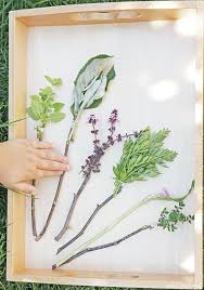 Naturpinsel Basteln Pssst So Malen Kleine Waldelfen Die Blatter Bunt An Basteln Mit Naturmaterialien Sommer Kindergarten Basteln Und Kreatives Gestalten