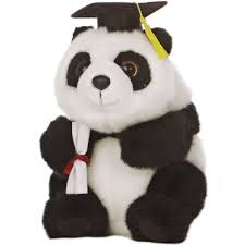 Black Bear Stuffed Animal Names Graduation Is Here Cute Stuffed Animals Stuffed Animal Names Plush Animals