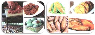 Feb 09, 2021 · contoh bahan nabati dan hewani. Kewirausahaan Bahan Nabati Dan Hewani Menjadi Makanan Khas Daerah