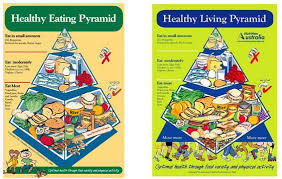 Now that scientists have learned a lot more about which foods are good for you and which ones cause diseases. Healthy Food Pyramid Updated For The First Time In 15 Years Nz Herald