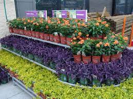 The home depot garden center has your back no matter what shade of green your thumb is master gardener just starting out or landscape professional. Gallon Color For Your Garden Garden Center Displays Plant Nursery Garden Center