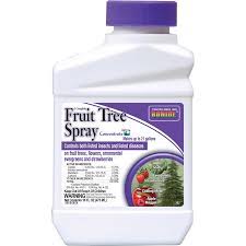 When sprayed on dormant fruit trees, horticultural oil kills overwintering scale insects, mealybugs, mites, aphids, and other pests on the bark of the tree. Bonide 16 Fl Oz Concentrate Fruit Tree Spray In The Pesticides Department At Lowes Com