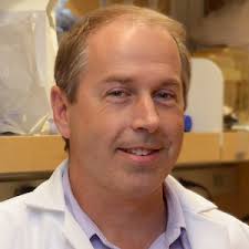 Gene therapy with a new base editing technique restores hearing in mice