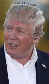 So i have lots of things that have influenced what type of movies i like which is mainly tcm, hm, comedies, military, and most things that are clean in nature. Heather Anne Campbell On Twitter This Photo Shows Off His Hair The Clearest So Far I Ve Diagramed It As Best I Can