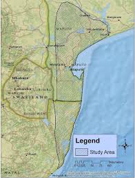 Image result for Warneckea sousae