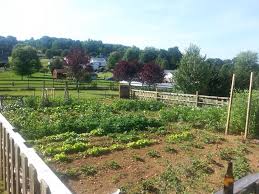 From permanent structures to compost heaps and crop rotation. Large Vegetable Garden Layout In Full Bloom Vegetable Garden Planner Backyard Vegetable Gardens Vegetable Garden Planning