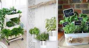 Maybe you would like to learn more about one of these? 15 Petits Potagers D Interieur A Copier