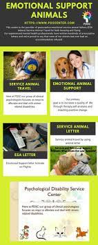 Pds Center Is The Provider Of Emotional Support For Animals Here At Pdsc Our Group Of Clinical Psychologis Emotional Support Animal Emotional Support Emotions