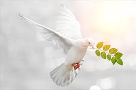 ROH KUDUS ALLAH