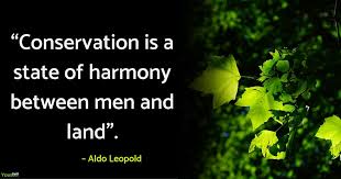 Happy world environment day quotes sayings images pictures slogans wishes sms messages pics wallpapers posters fb covers essays poems greeting cards 5 june 2020. World Environment Day Slogans And Quotes Yourselfquotes