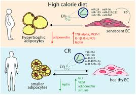 Image result for Beige 1983 Caloric