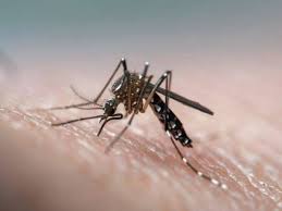 Tindakan segera perlu diambil bagi demam denggi adalah sejenis penyakit jangkitan virus yang merebak melalui gigitan nyamuk aedes aegypti yang telah dijangkiti. Lima Daerah Rekod Kes Demam Denggi Tertinggi