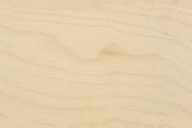 Seamless Plywood Birch Endgrain Maps Texturise Wood Texture Seamless Light Wood Texture Wood Texture
