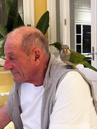 Birds Custom Cabinets 225-806-2807