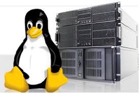 Dial Web Hosting Offers Vps Hosting For Linux And Windows Os Which Gives The High Performance Experience Power Servers Linux Virtual Private Server Server