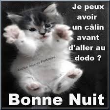 Je Peux Avoir Un Calin Avant D Aller Au Dodo Bonne Nuit Bonnenuit Bonne Nuit Bonne Nuit Humour Bonne Nuit Drole