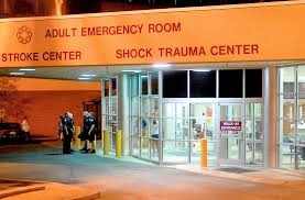 Image result for Erlangea