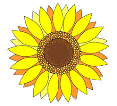Repeat this process around the entire circle. How To Draw Sunflowers Flower Drawing Sunflower Drawing Sunflower Illustration