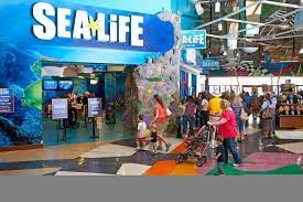 We did not find results for: Grapevine Mills Is One Of The Best Places To Shop In Dallas