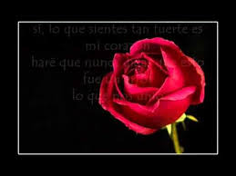 Quiero Ser Tu Amor Eterno David Bisbal Letra Youtube Yotube Videos My Music Global Citizen