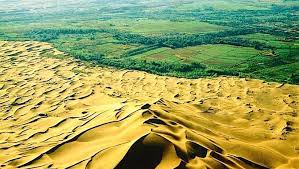 Pan African Effort To Plant Trees Along The Edge Of The Sahara Desert In 2020 Trees To Plant Desert Plants Desert Landscaping