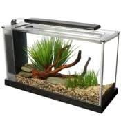 Betta fish are often kept in a small aquarium but that's not good. Choosing And Setting Up A Betta Fish Aquarium A Beginners Guide