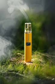 LANA皮革主機（通用一代蛋） – 520糖果屋