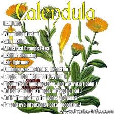 Pin On Breast Enlargement Herbs
