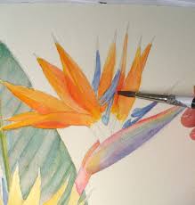 Painting Oil Painting Bird Of Paradise Flower Bird Of Paradise Botanical Painting Strelitzia Reginae Paradise Painting Botanical Painting Basic Watercolor