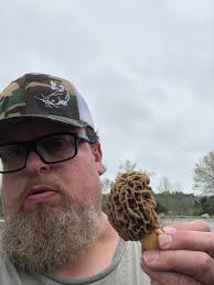 Does anyone have info