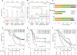 stage at diagnosis indicates the extent to which a cancer has spread at diagnosis. Clinical And Genomic Insights Into Circulating Tumor Dna Based Alterations Across The Spectrum Of Metastatic Hormone Sensitive And Castrate Resistant Prostate Cancer Ebiomedicine