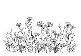 Pin On Drawing