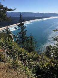 Maybe you would like to learn more about one of these? Oregon Coast Xera Plants