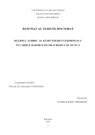 Nulitatea absolută a deciziei de imputare. Https Drept Unibuc Ro Dyn Doc Oferta Educationala Scoala Doctorala Rezumat Teza Florian Radu Gheorghe Iul 2015 Ro Pdf