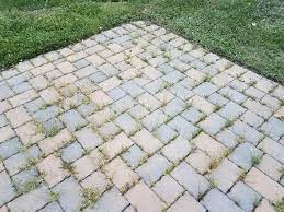 In fact weeds are not all that bad. What Kills Grass And Weeds Permanently Hometalk
