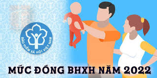 Mức đóng Bảo hiểm xã hội năm 2022 – CIS Law Firm