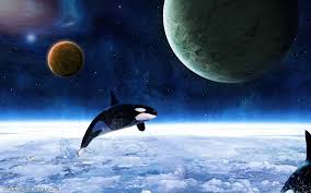 Follow the vibe and change your wallpaper every day! Free Download Killer Whales Wallpapers 1920x1200 For Your Desktop Mobile Tablet Explore 70 Orca Whale Wallpaper Killer Whale Wallpaper Free Whale Wallpapers For Desktop Killer Whale Wallpaper Desktop