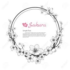 Polish your personal project or design with these flower drawing transparent png images, make it even more personalized and more attractive. Flower Frame Of Sakura Drawing And Sketch On White Background Royalty Free Cliparts Vectors And Stock Illustration Image 87354113