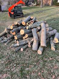 Me and my husband will be going around Columbia helping everyone tomorrow  with a chain saw as well