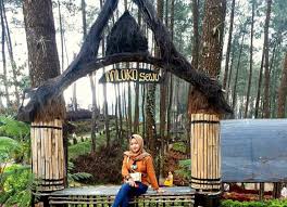 46+ vanlige fakta om telaga ngebel hari ini apakah buka! Wisata Mloko Sewu Ponorogo Harga Tiket Masuk Dan Lokasi