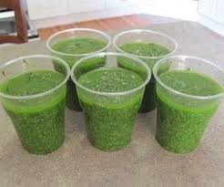 Il pesto di zucchine può essere conservato per un paio di giorni in frigorifero, vi basterà metterlo in un contenitore (preferibilmente di vetro), ricoprirlo a filo d'olio e chiudere il contenitore. Pesto Di Basilico Da Conservare Ricetta Del Pesto Pesto Di Basilico Pesto