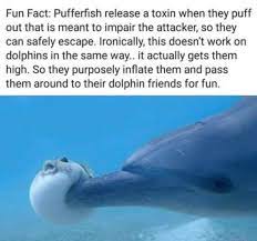 Reddit The Front Page Of The Internet Science Memes Fun Facts Biology Memes