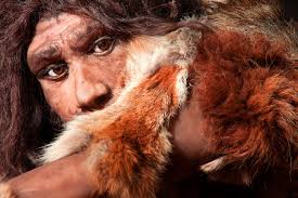 Homo erectus ist eine ausgestorbene art seine miene veränderte sich schlagartig. Wie Die Gene Der Neandertaler Uns Heutige Menschen Pragen
